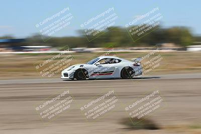 media/Oct-04-2025-OnGrid (Sat) [[44bd565ffa]]/Green Group/Grapevine/